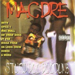 Mac Dre What Cha Like Download